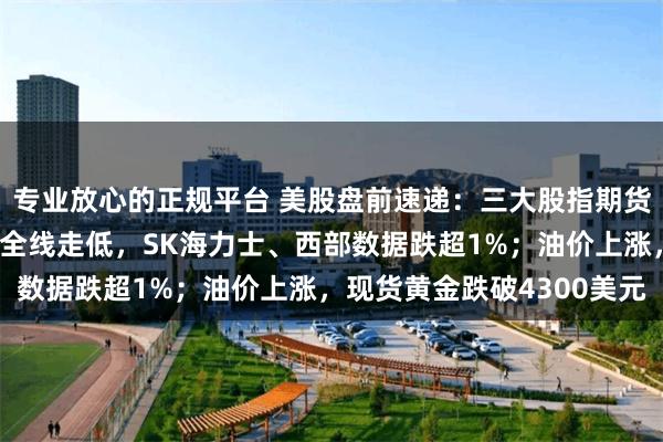 专业放心的正规平台 美股盘前速递：三大股指期货集体下跌；存储芯片股全线走低，SK海力士、西部数据跌超1%；油价上涨，现货黄金跌破4300美元
