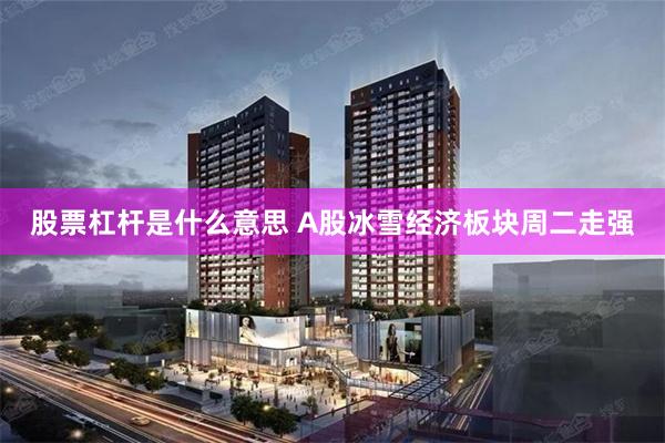 股票杠杆是什么意思 A股冰雪经济板块周二走强