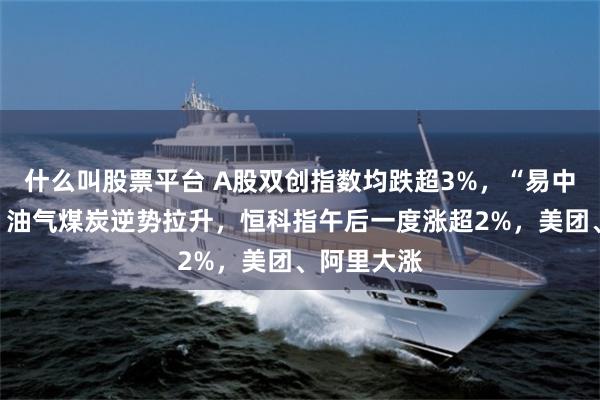 什么叫股票平台 A股双创指数均跌超3%，“易中天”齐跌，油气煤炭逆势拉升，恒科指午后一度涨超2%，美团、阿里大涨