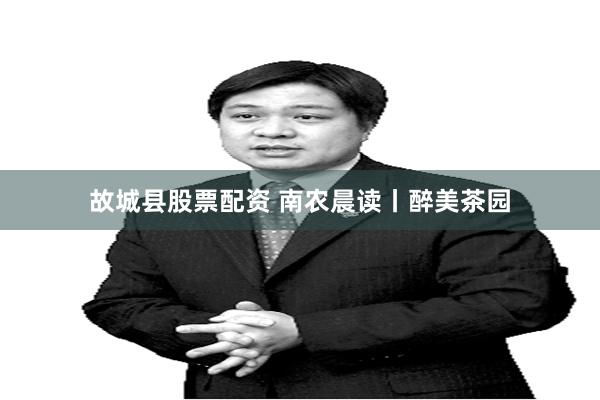 故城县股票配资 南农晨读丨醉美茶园