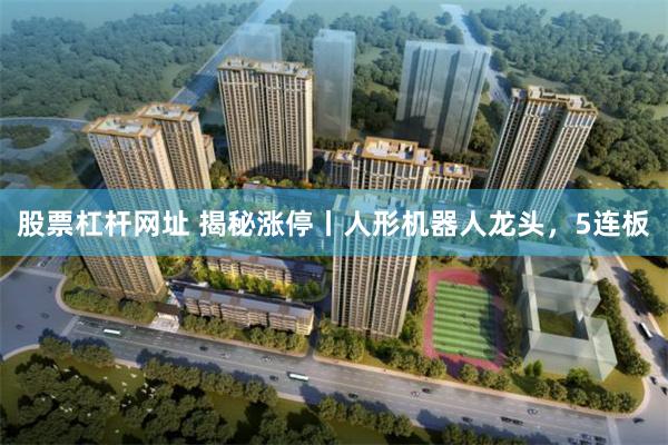 股票杠杆网址 揭秘涨停丨人形机器人龙头，5连板